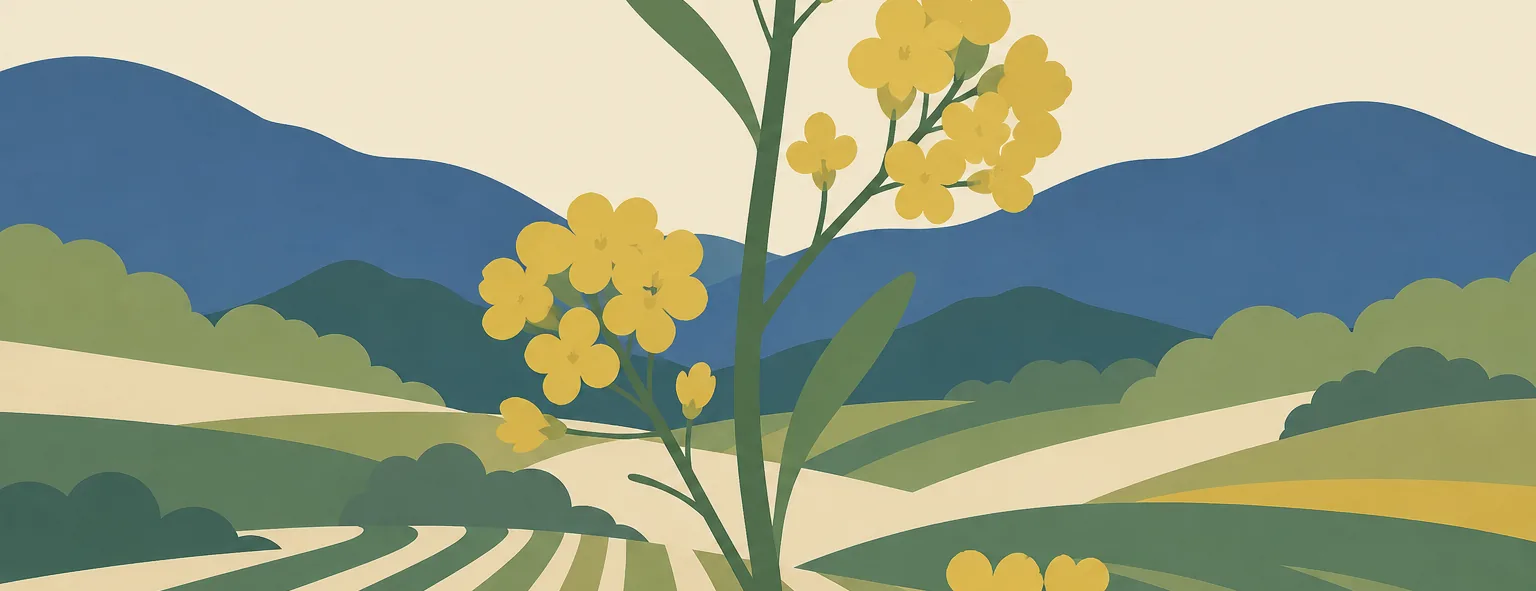 福島県立石川高校のイメージイラスト