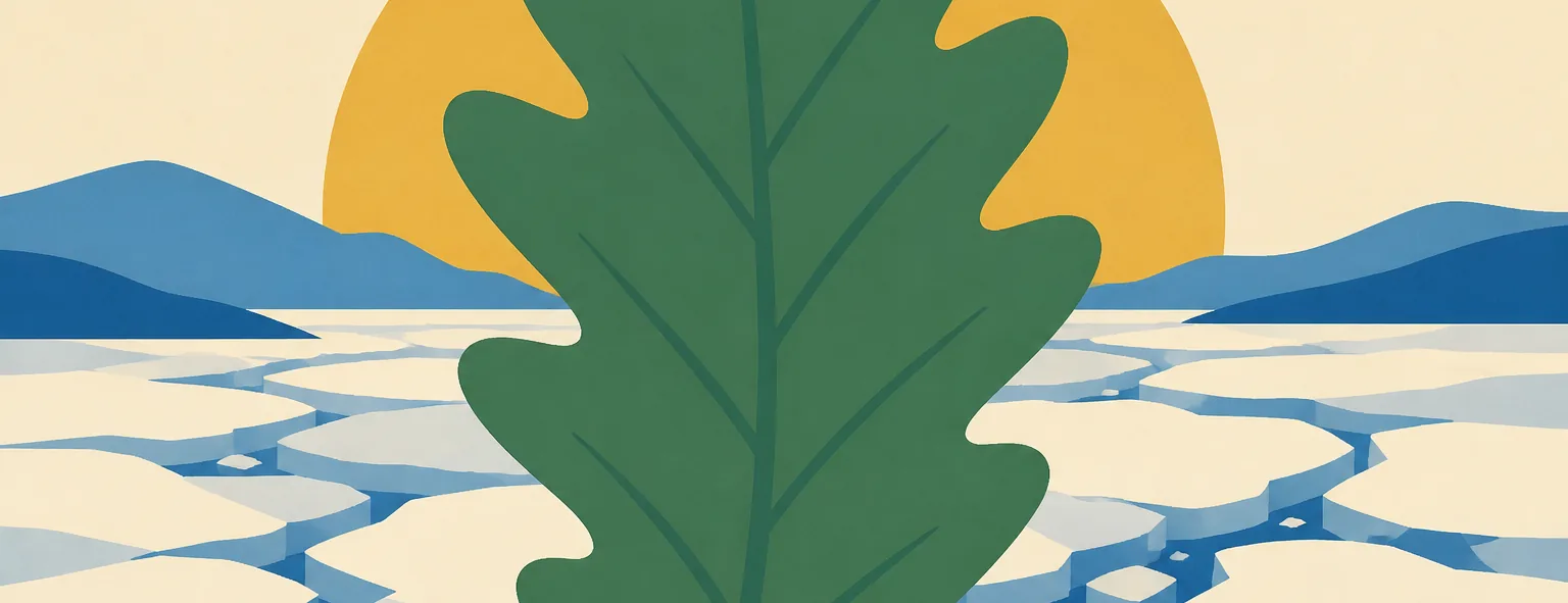 北海道北見柏陽高校のイメージイラスト