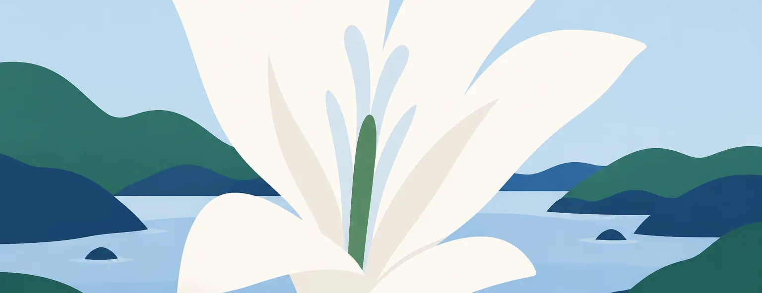 聖和学院高校のイメージイラスト
