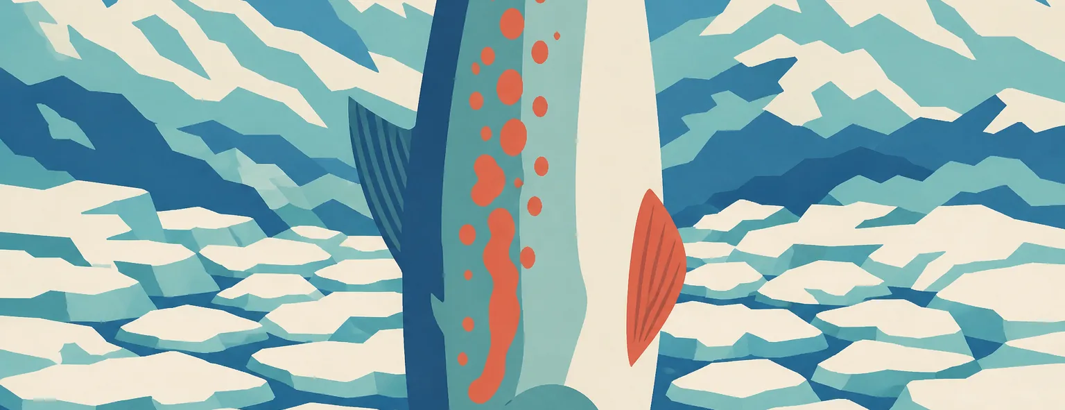 北海道斜里高校のイメージイラスト