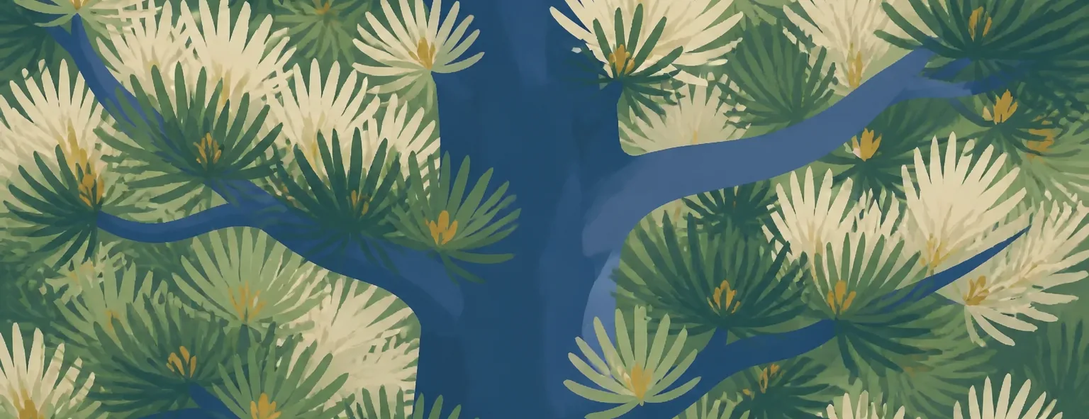 白河旭高校のイメージイラスト
