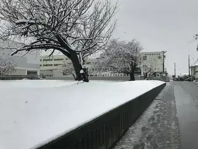 創学館高等学校