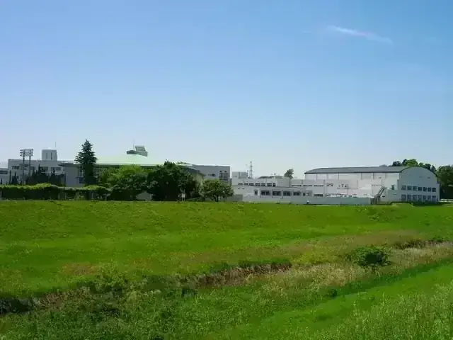 柏市立柏高等学校