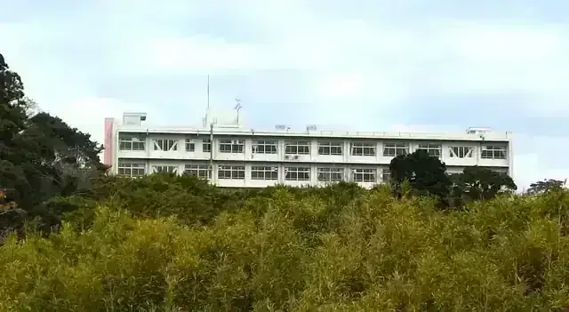 中央国際高等学校