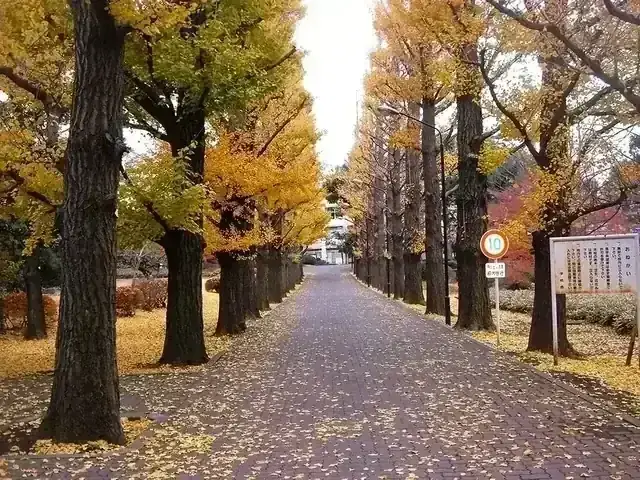 東京都立園芸高等学校