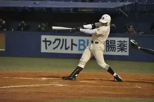 早稲田大学系属早稲田実業学校高等部