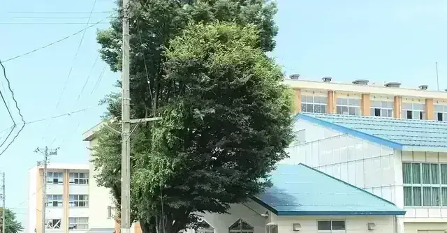 新潟県立糸魚川白嶺高等学校