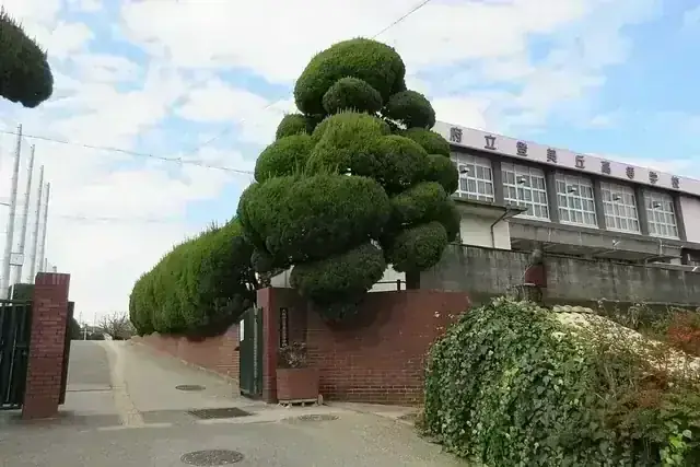 大阪府立登美丘高等学校