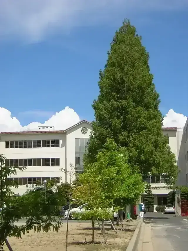 金光学園高等学校